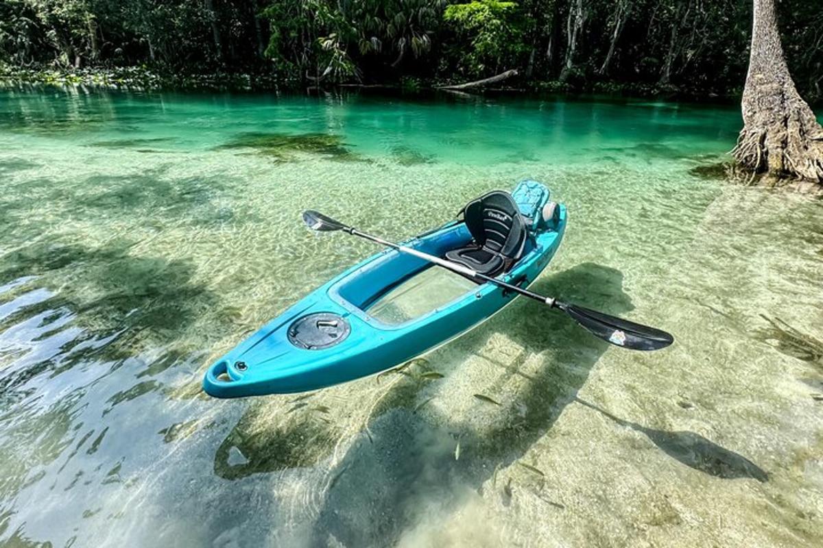 kayak biru duduk di atas pasir di dalam air