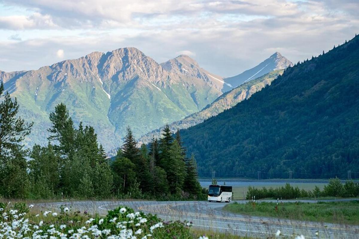 Rúta ekur eftir vegi með fjöllum í bakgrunni