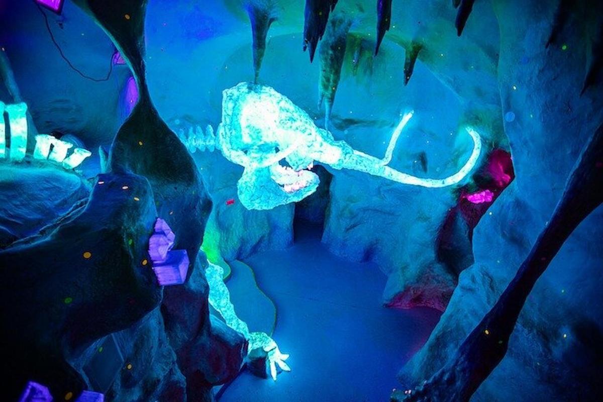 uma exibição de um aquário com um elefante e peixes