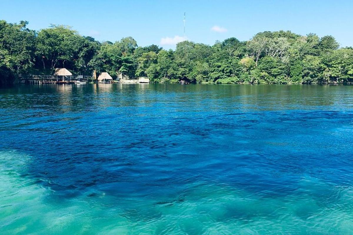 a view of a large body of water with trees
