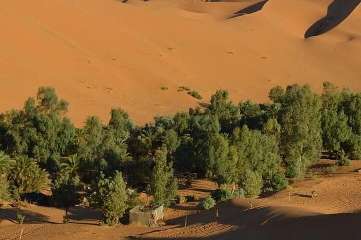 una vista aèria d'un desert amb arbres i un edifici
