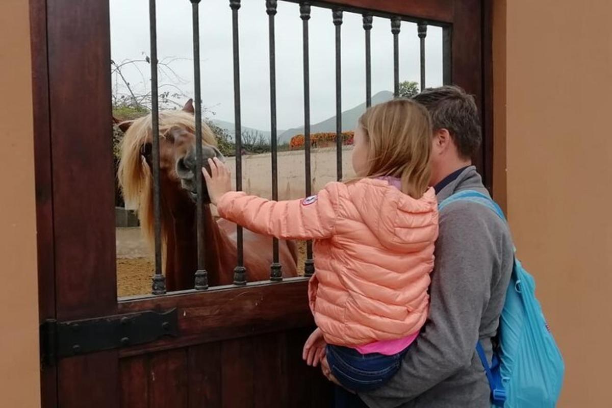 muž a malá holčička se dívají na psa za branou