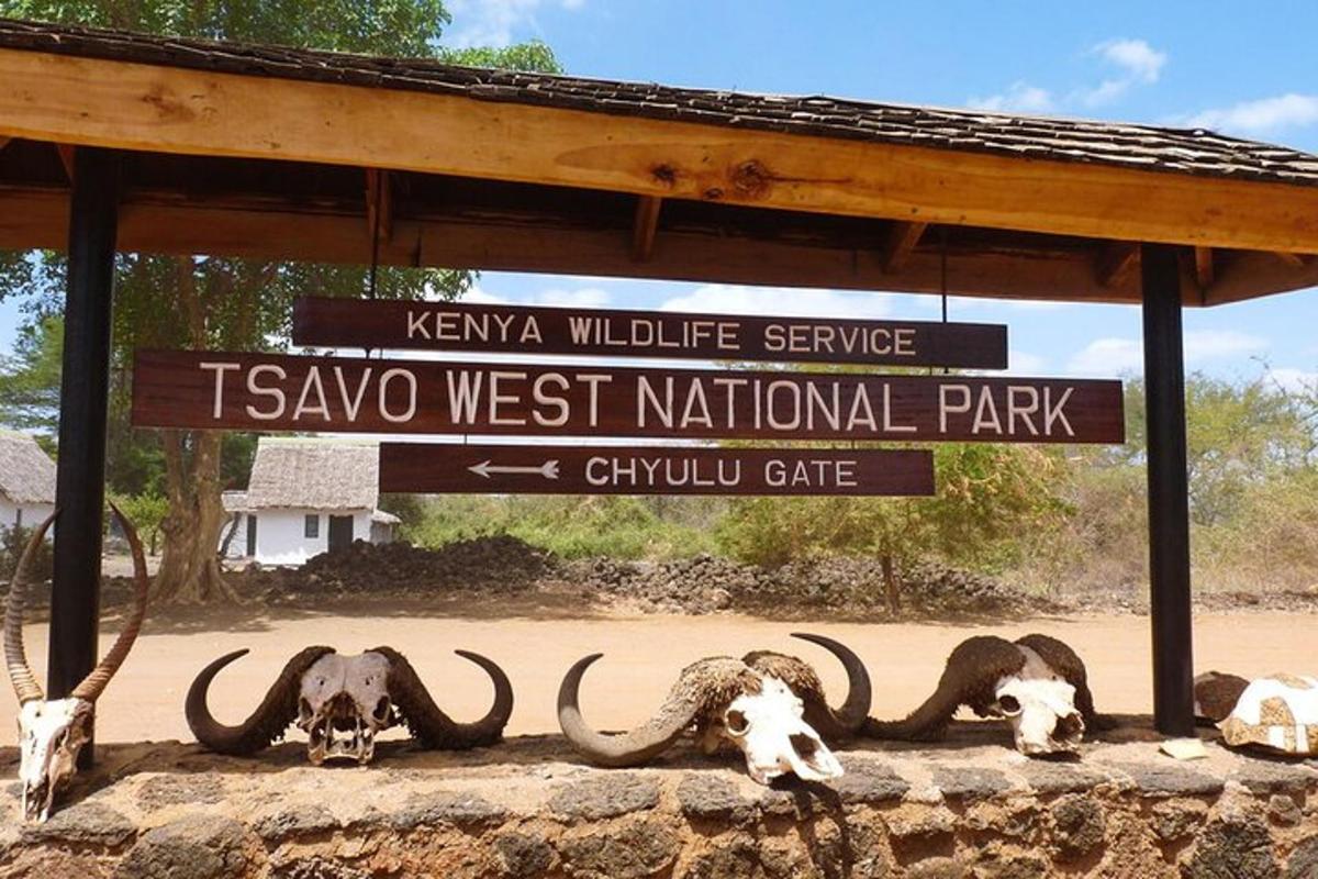 Un grupo de animales sentados frente a un cartel.