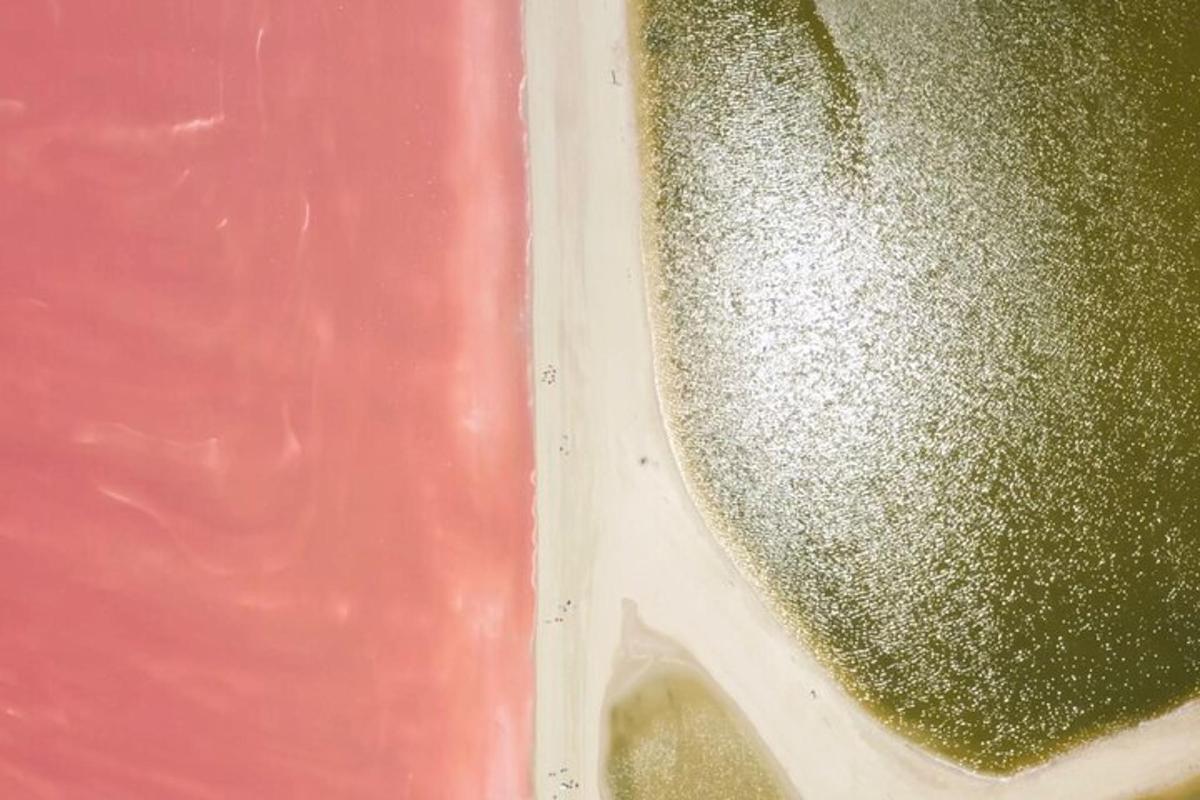 close up wadah yang diisi dengan glitter