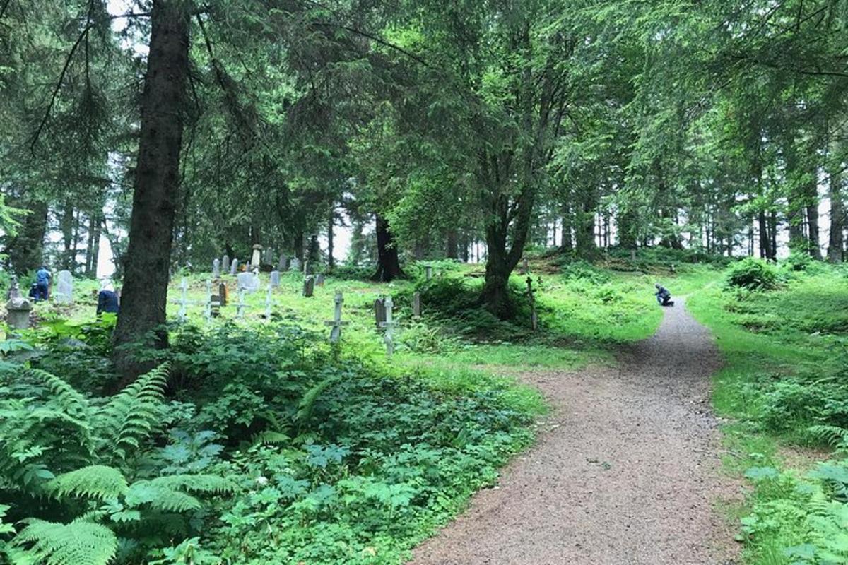 a path in a park with trees and a cemetery