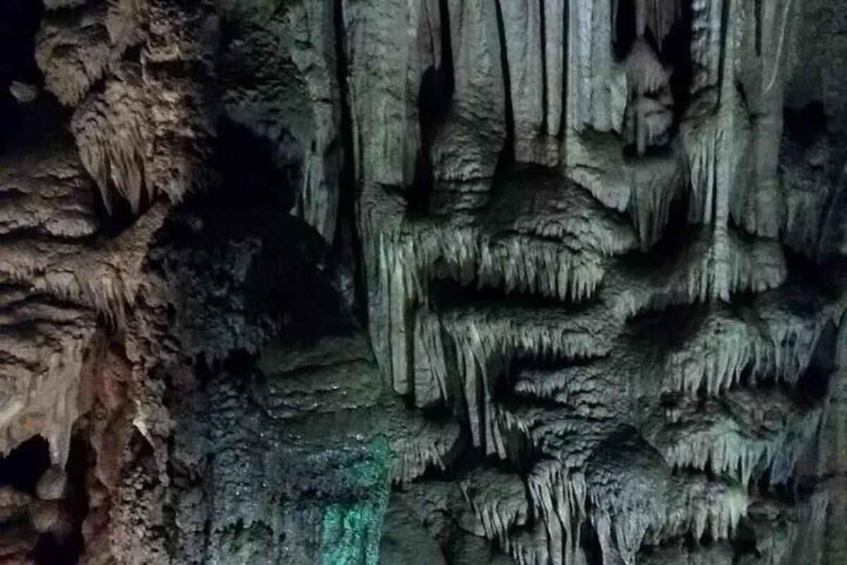 Fotografia da atração 5