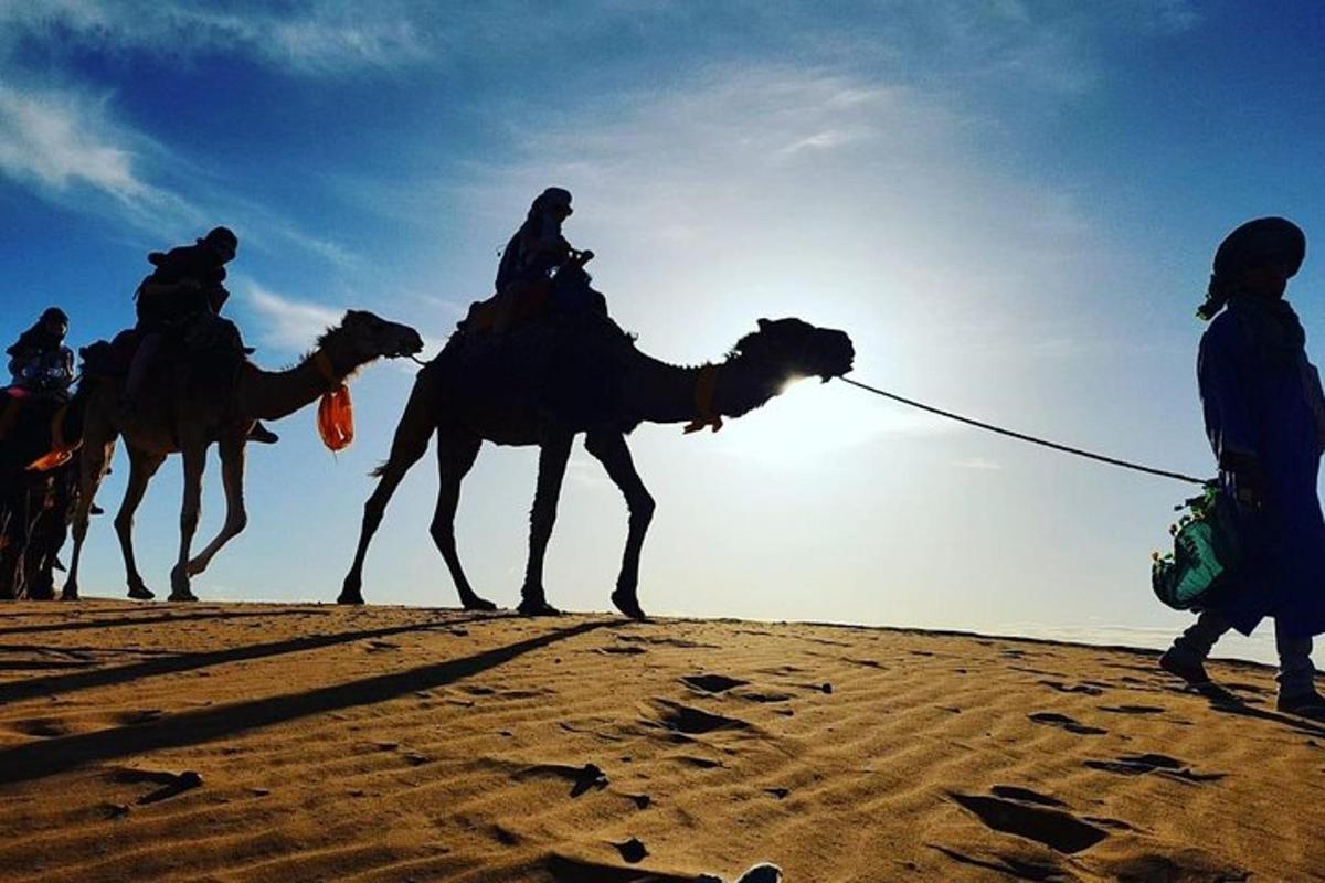 un gruppo di persone a cavallo di cammelli nel deserto