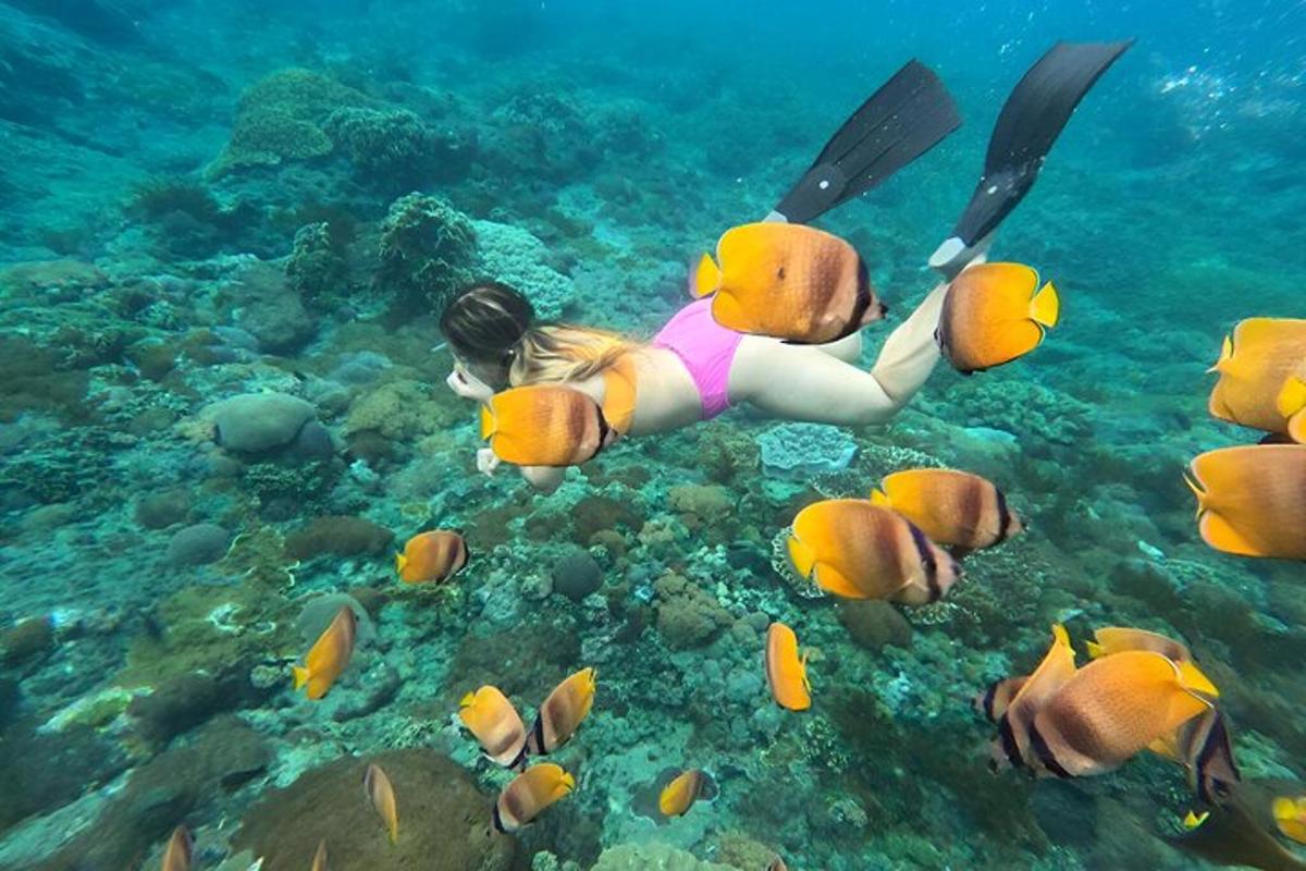 a woman is swimming in the water with fish