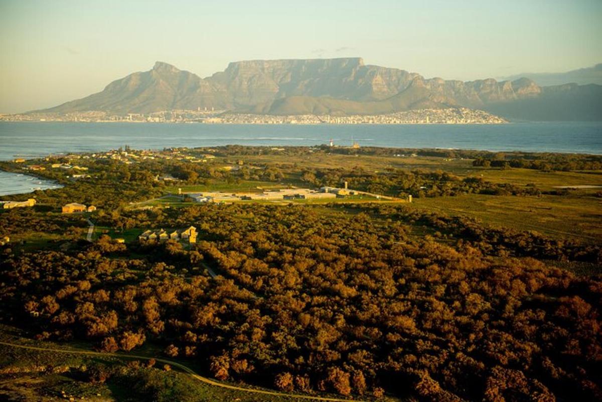 vista aèria d'un poble amb una muntanya al fons