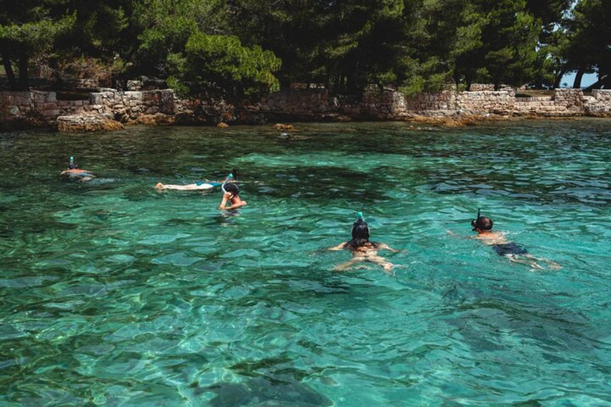 sekumpulan orang berenang di dalam air