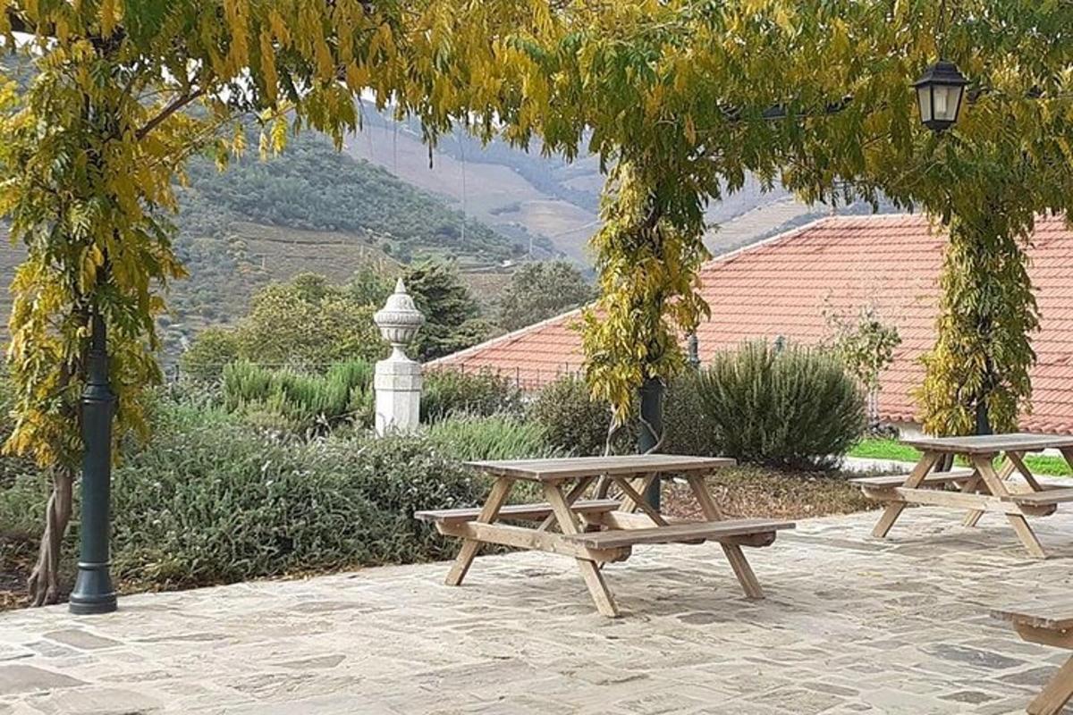 dve mizi za piknik in ulična svetilka v parku