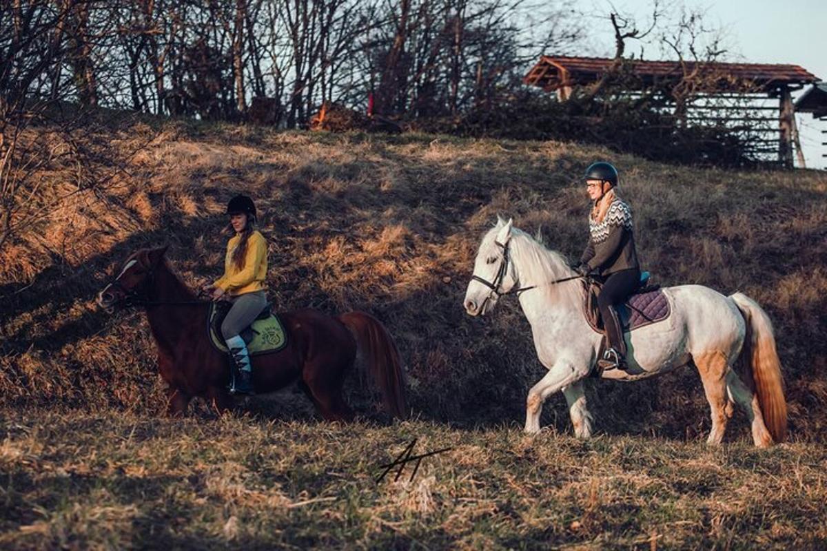 zwei Personen, die auf Pferden auf einem Feld reiten