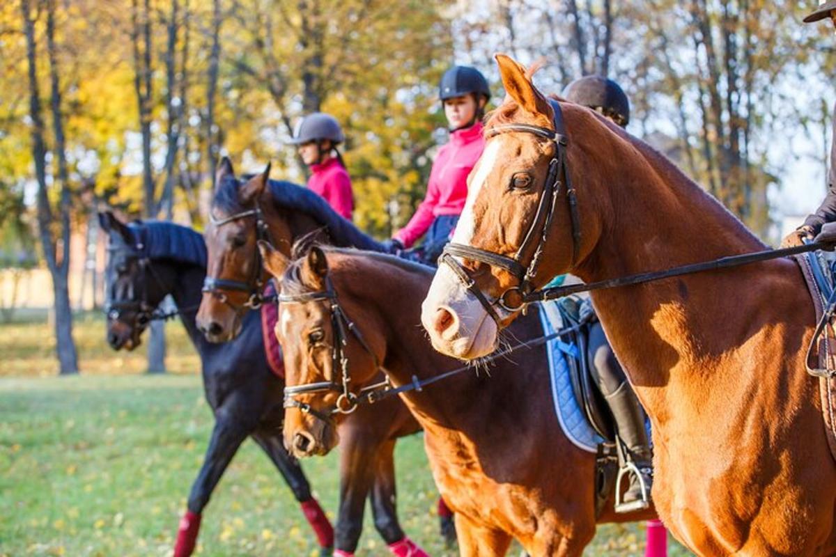 eine Gruppe von Menschen, die auf dem Rücken von Pferden reiten