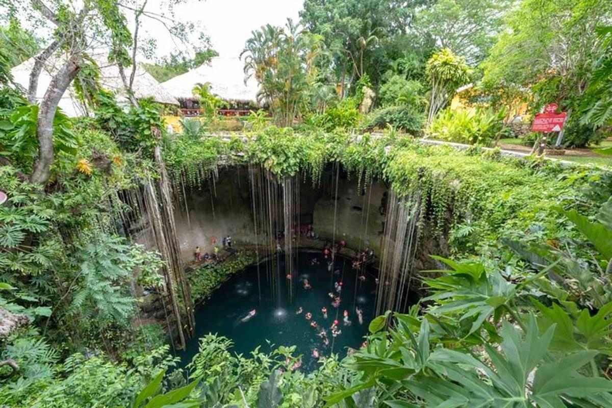 uno stagno in un giardino con una cascata