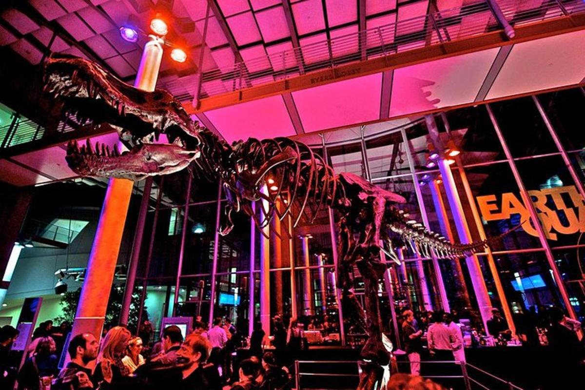 Attraction picture 4