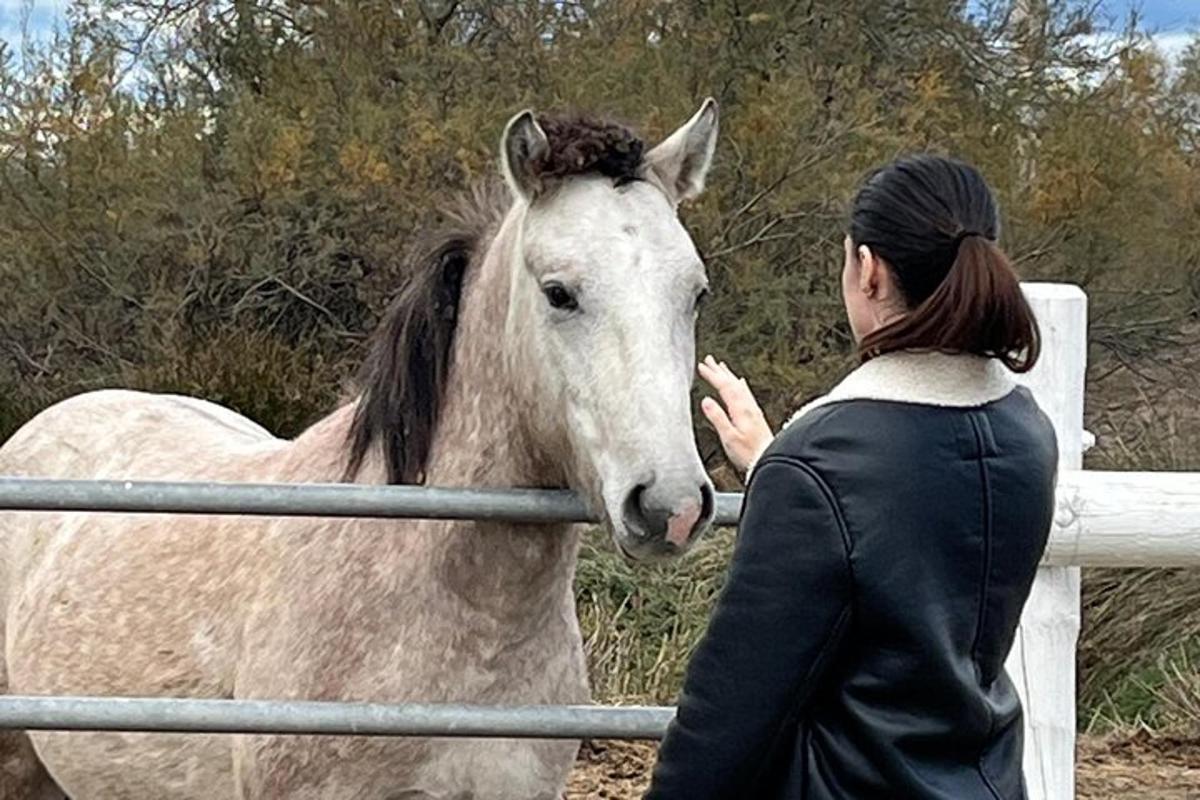 una donna sta accarezzando un cavallo dietro una recinzione