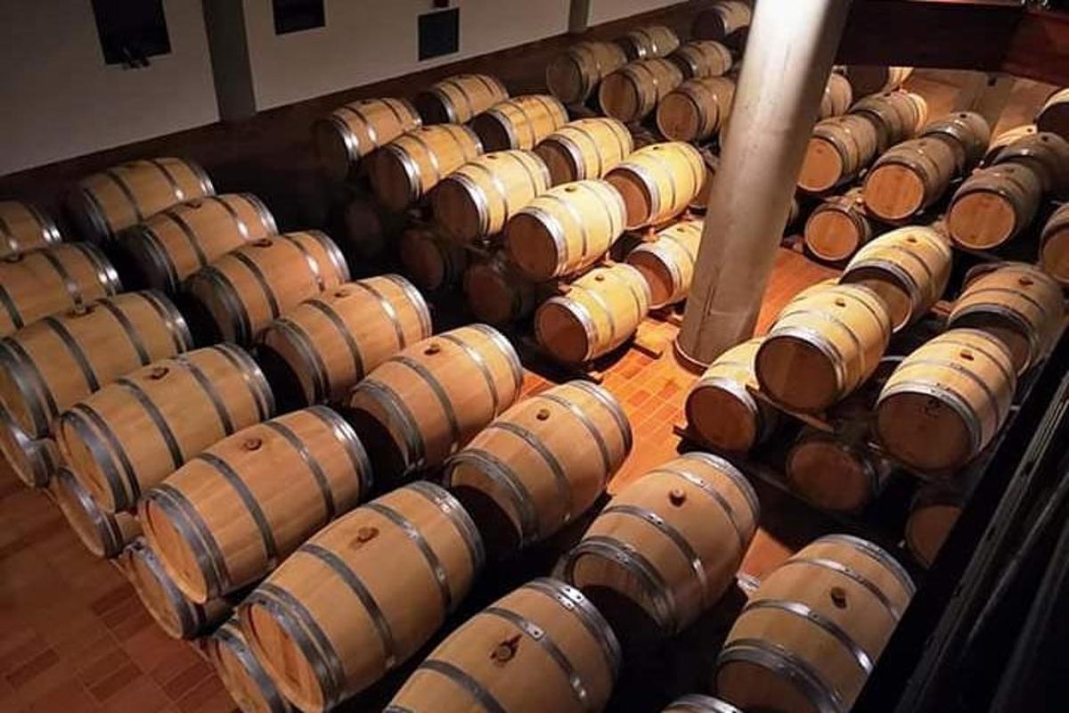 a bunch of wine barrels in a room