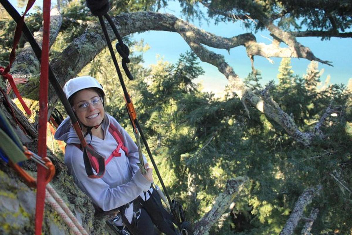 žena na zip line ve stromě