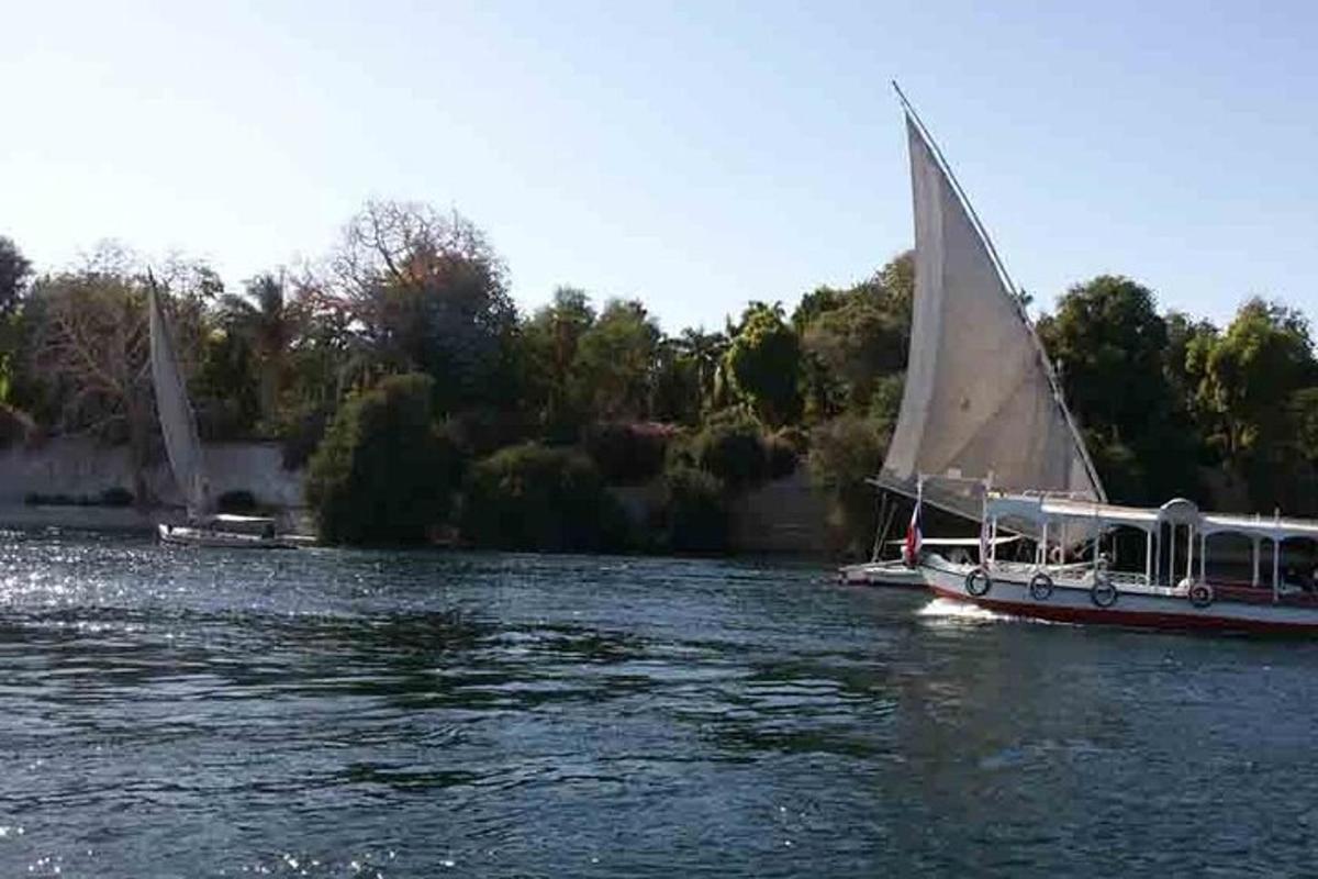 a small boat with a sail on the water