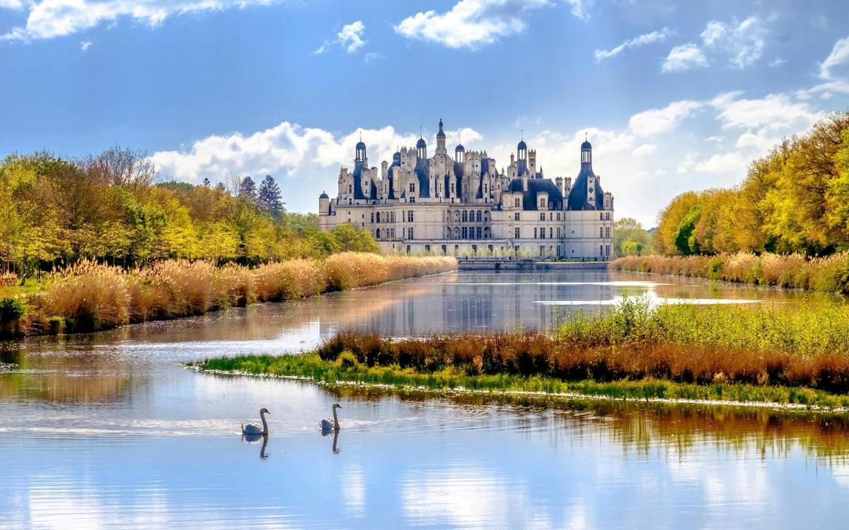 a castle in the middle of a river with ducks in the water