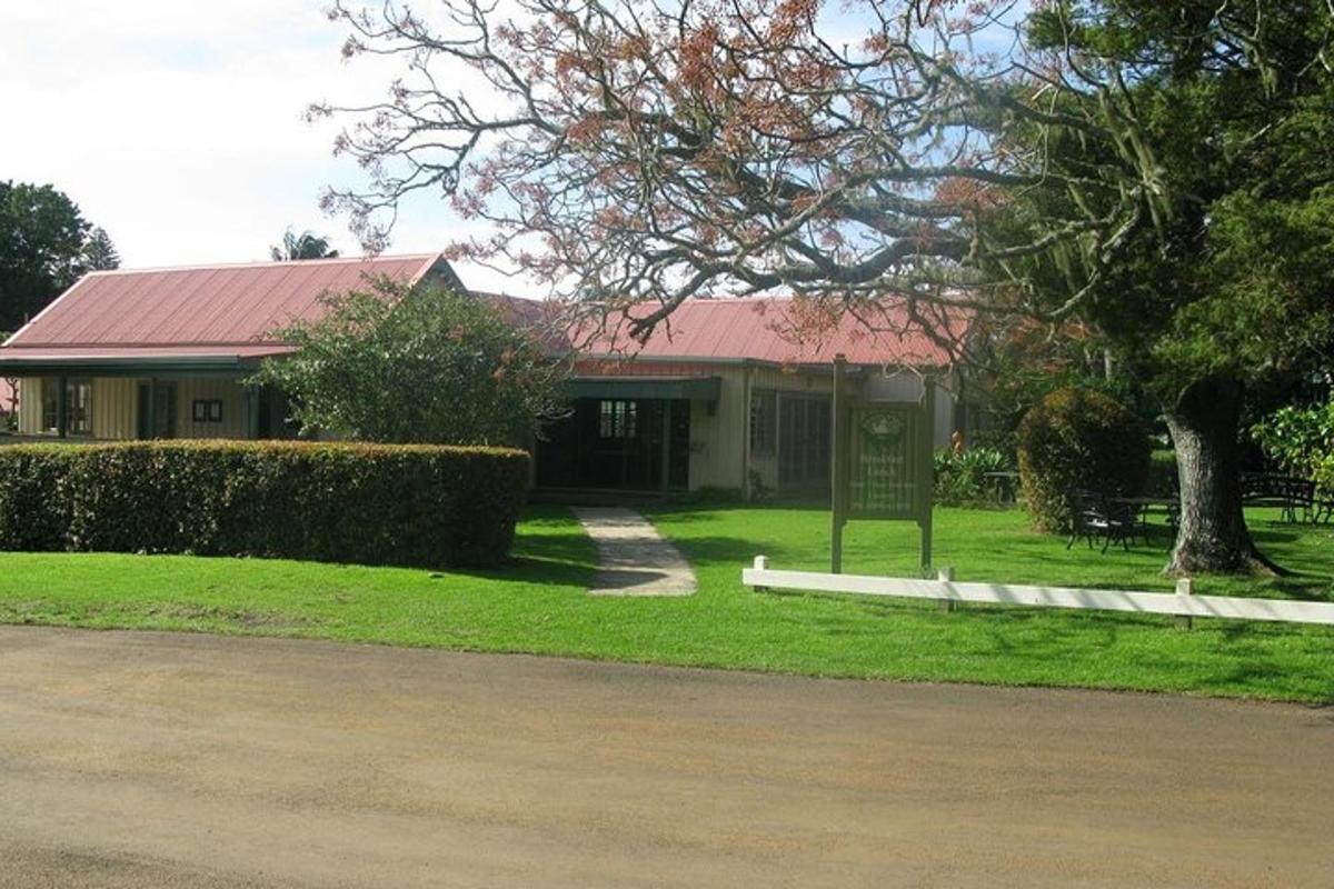 a house with a tree in front of it