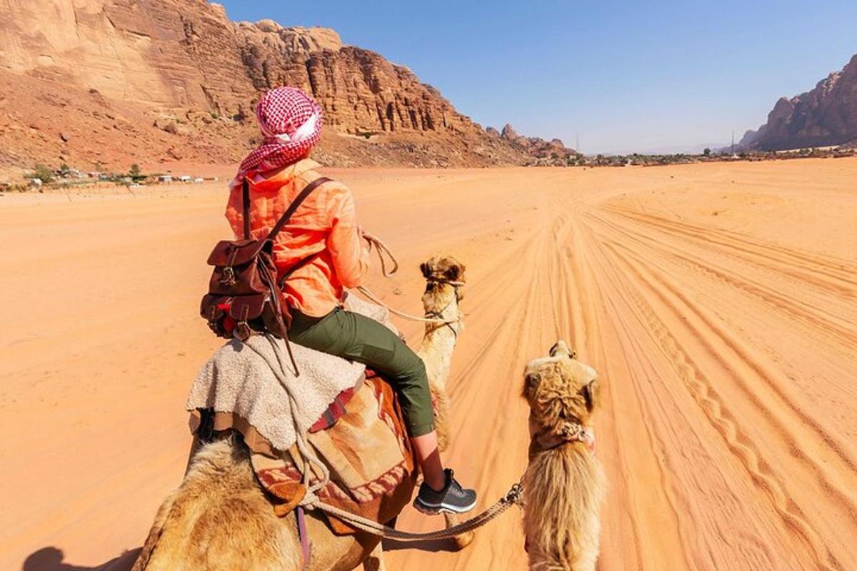 una persona che cavalca un cammello nel deserto con due cani
