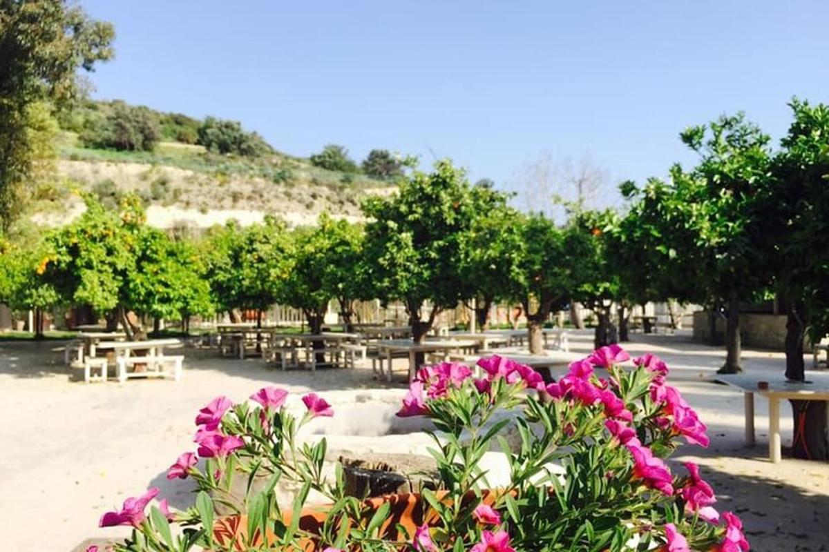 un parco con tavoli, fiori e alberi rosa