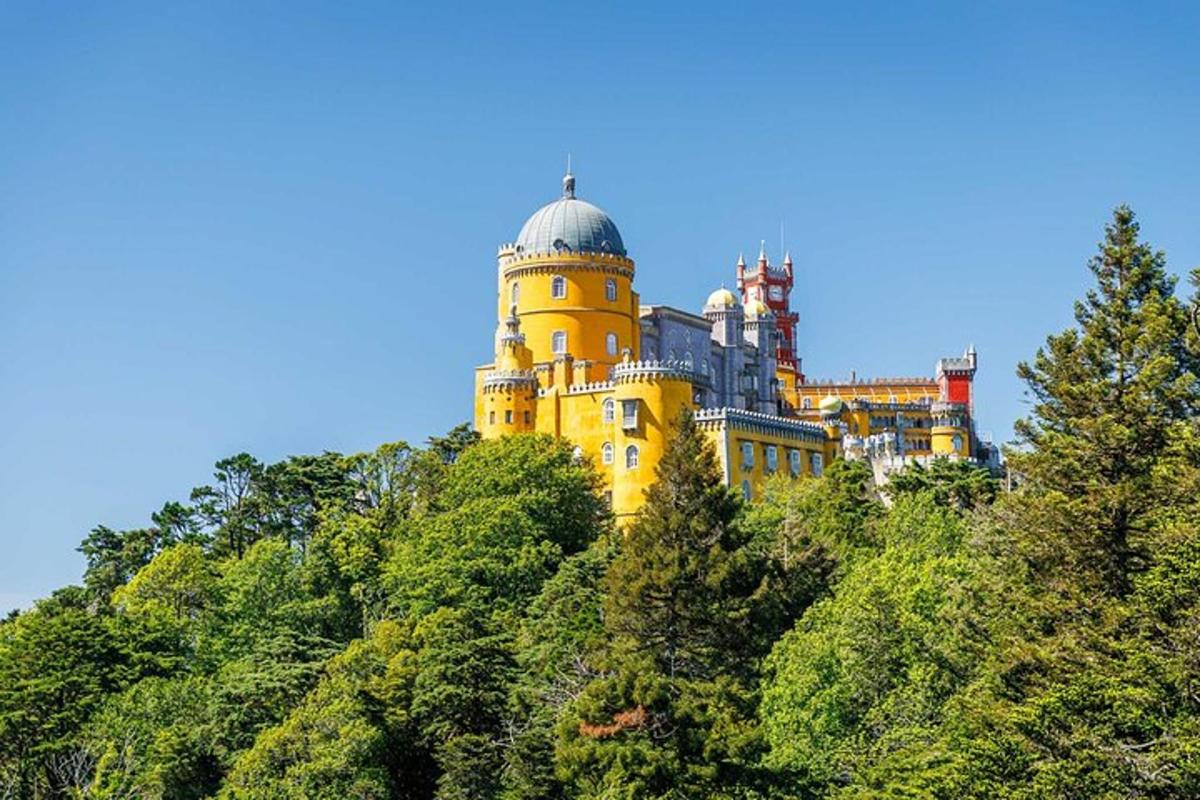 hrad na vrcholu kopce se stromy