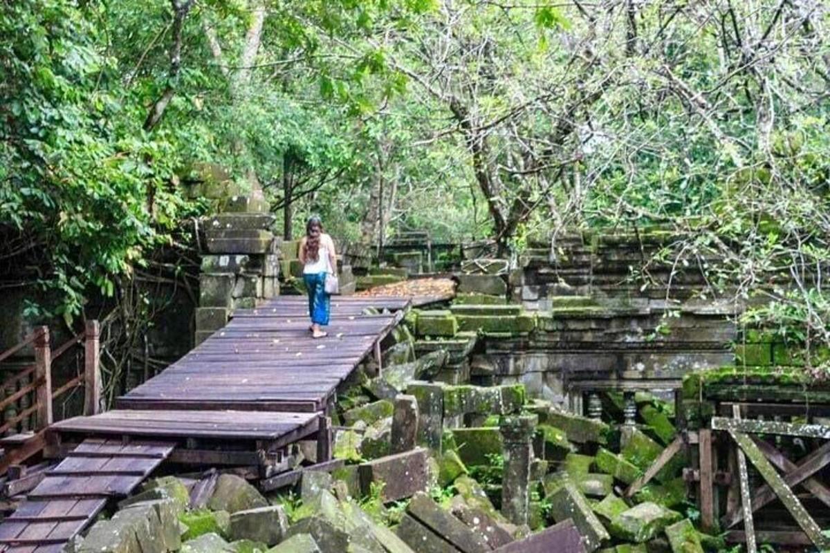 un home caminant per un pont de fusta a la selva