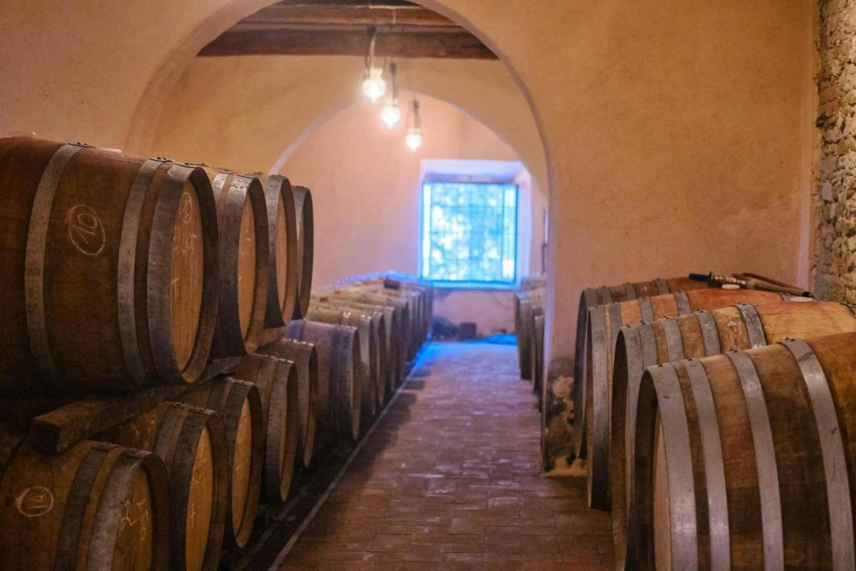 una fila di botti di vino in una stanza
