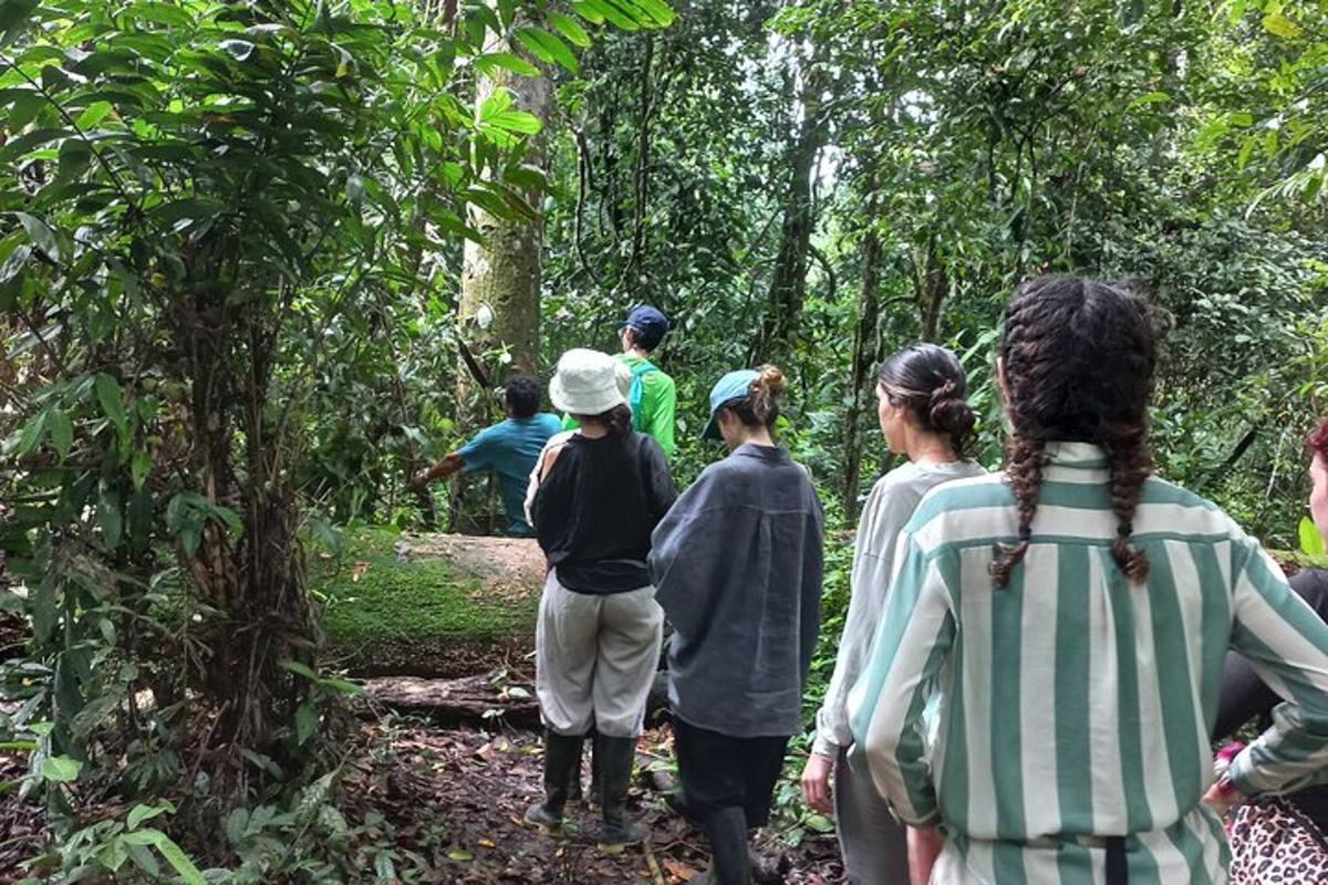 a group of people walking on a trail in the woods