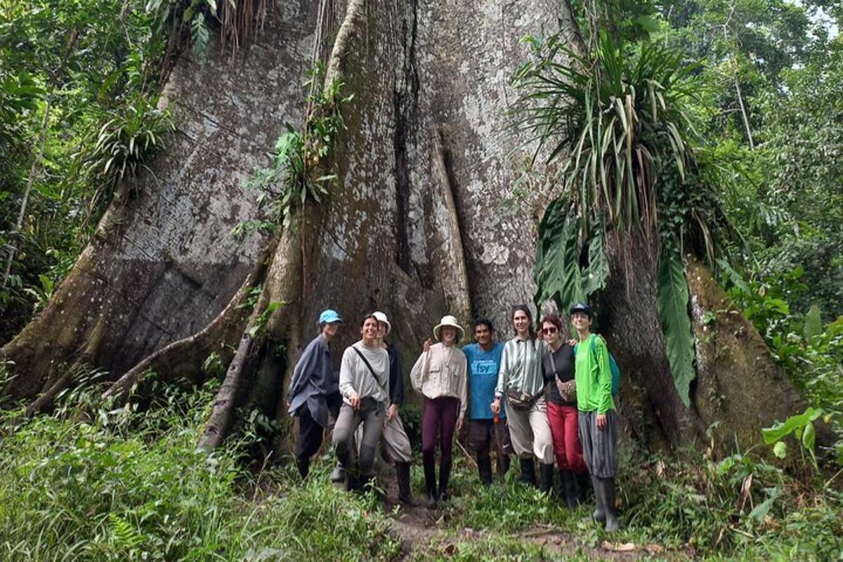 a group of people standing in front of a tree