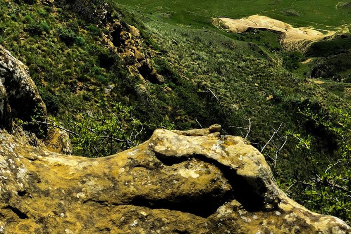 una grande roccia sul terreno con erba e acqua