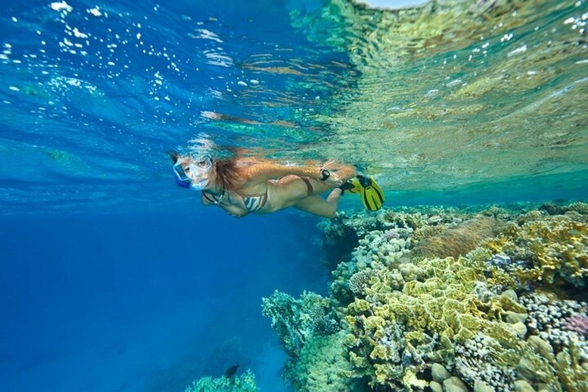 una donna in acqua vicino a una barriera corallina