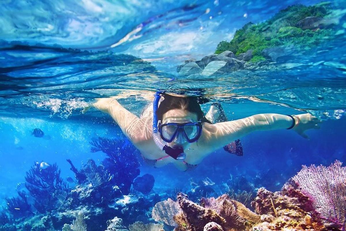 una donna che nuota nell'acqua vicino a una barriera corallina