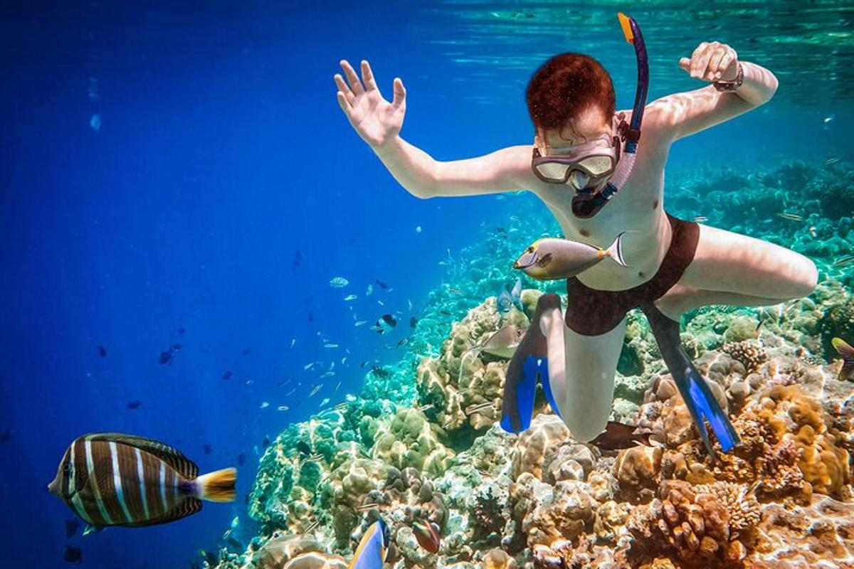 žena plave přes korálový útes s rybou