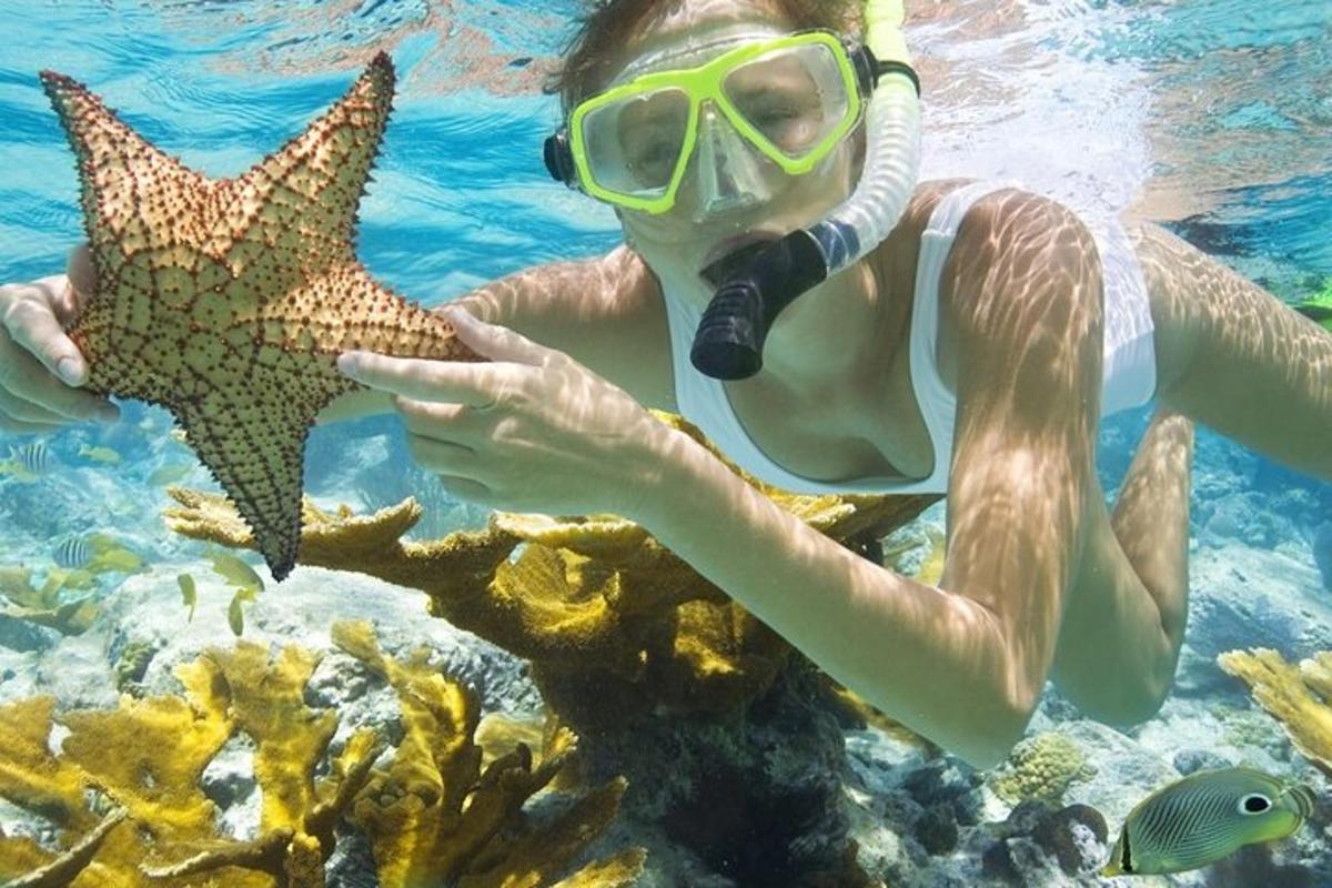seorang wanita memegang bintang laut di dalam air