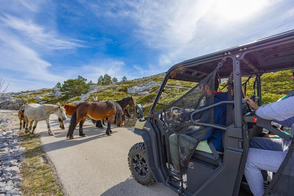 Turistik nokta fotoğrafı 2