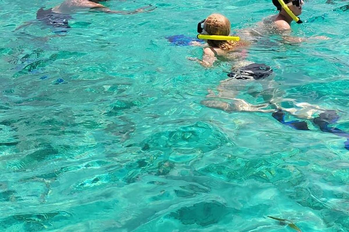 a group of people in the water with a frisbee