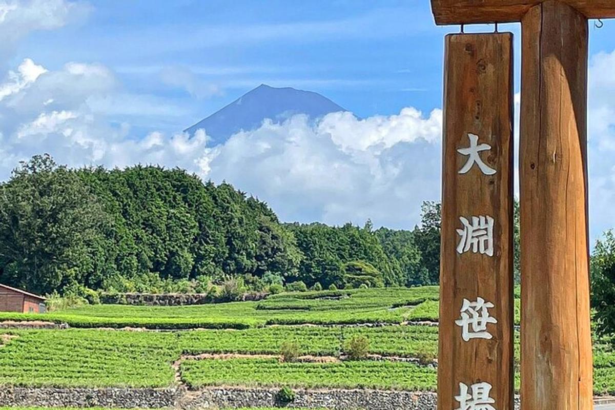 pemandangan lapangan dengan gunung di latar belakang