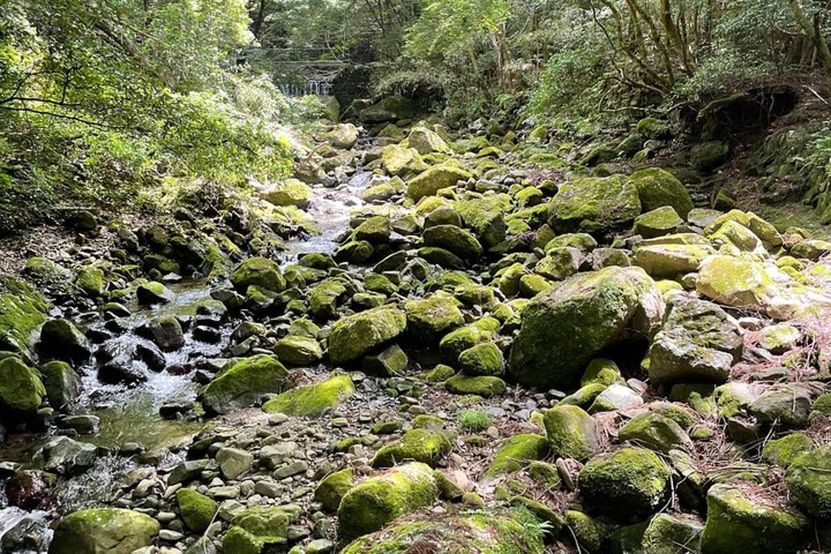 Foto 4 de l'atracció turística