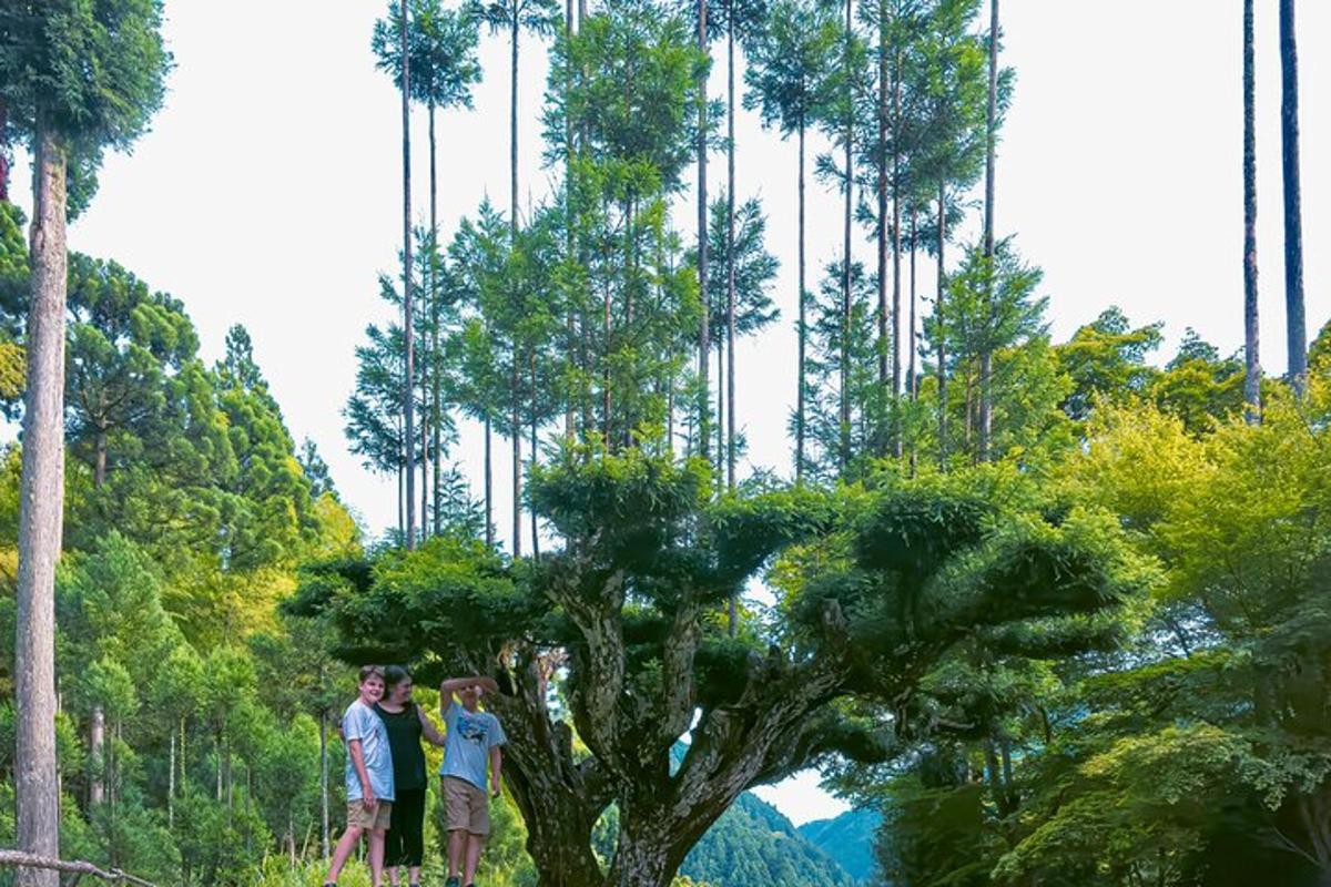 un grupo de personas de pie junto a un árbol