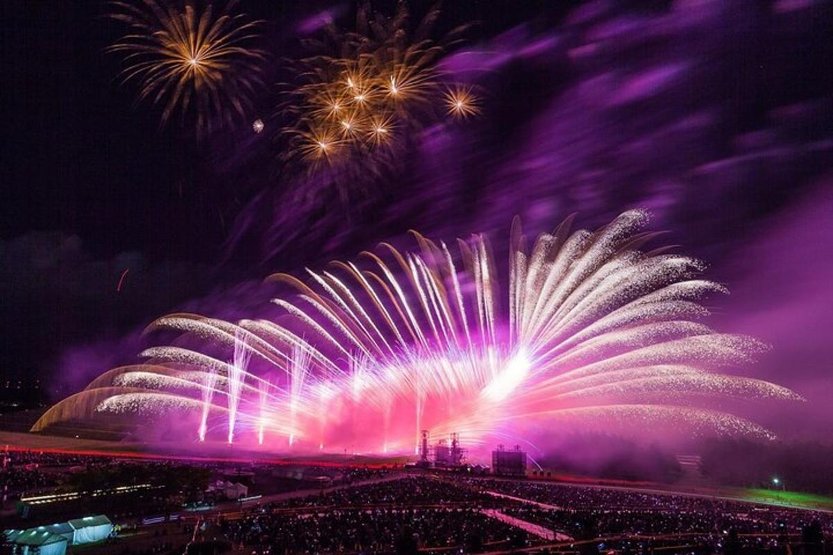 a firework display at a fireworks show at night