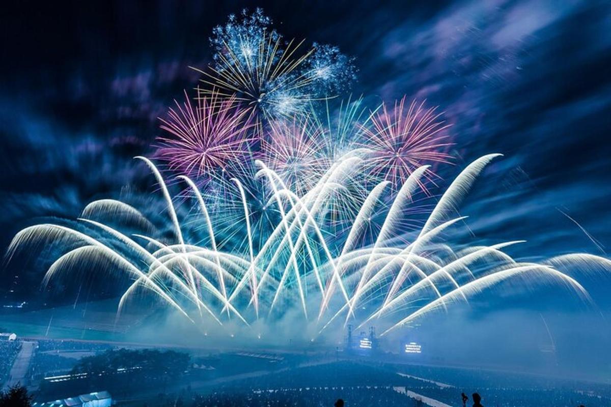 a group of fireworks exploding in the sky