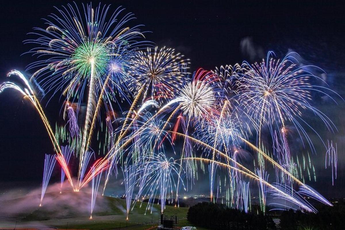 a group of fireworks exploding in the night sky