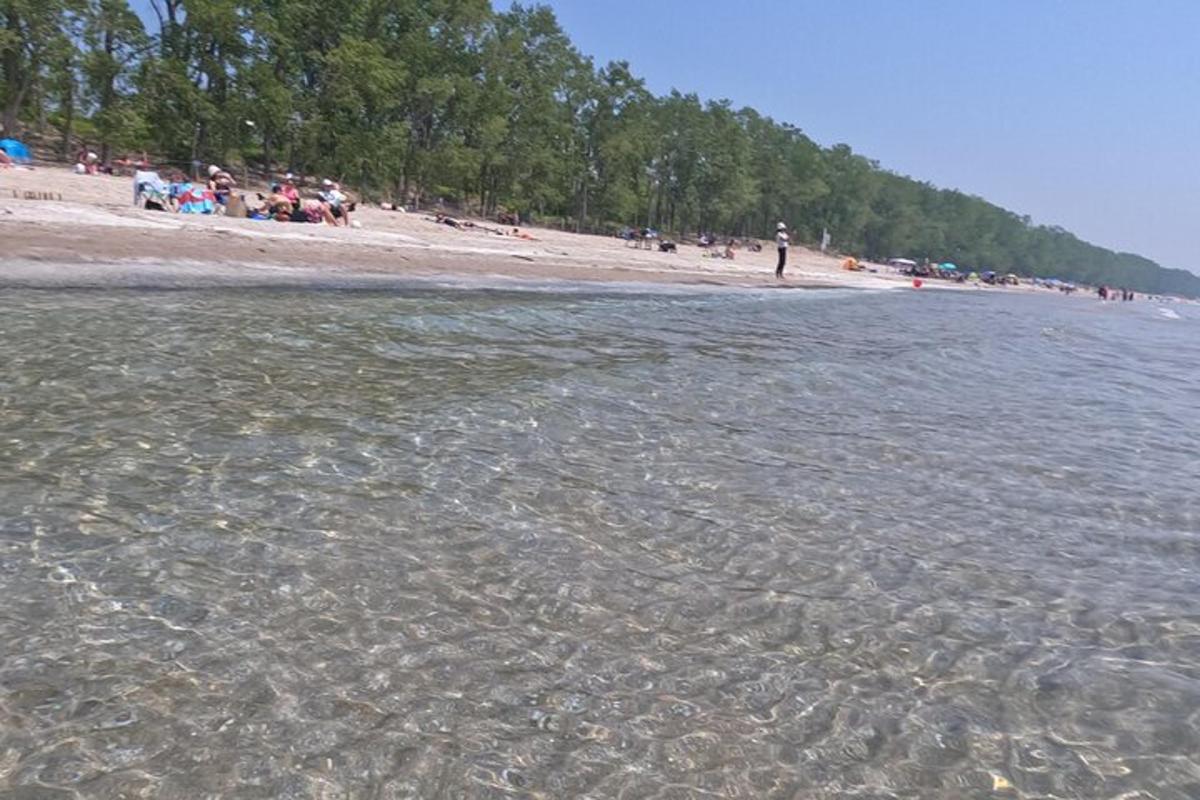 a beach with a group of people standing on the beach