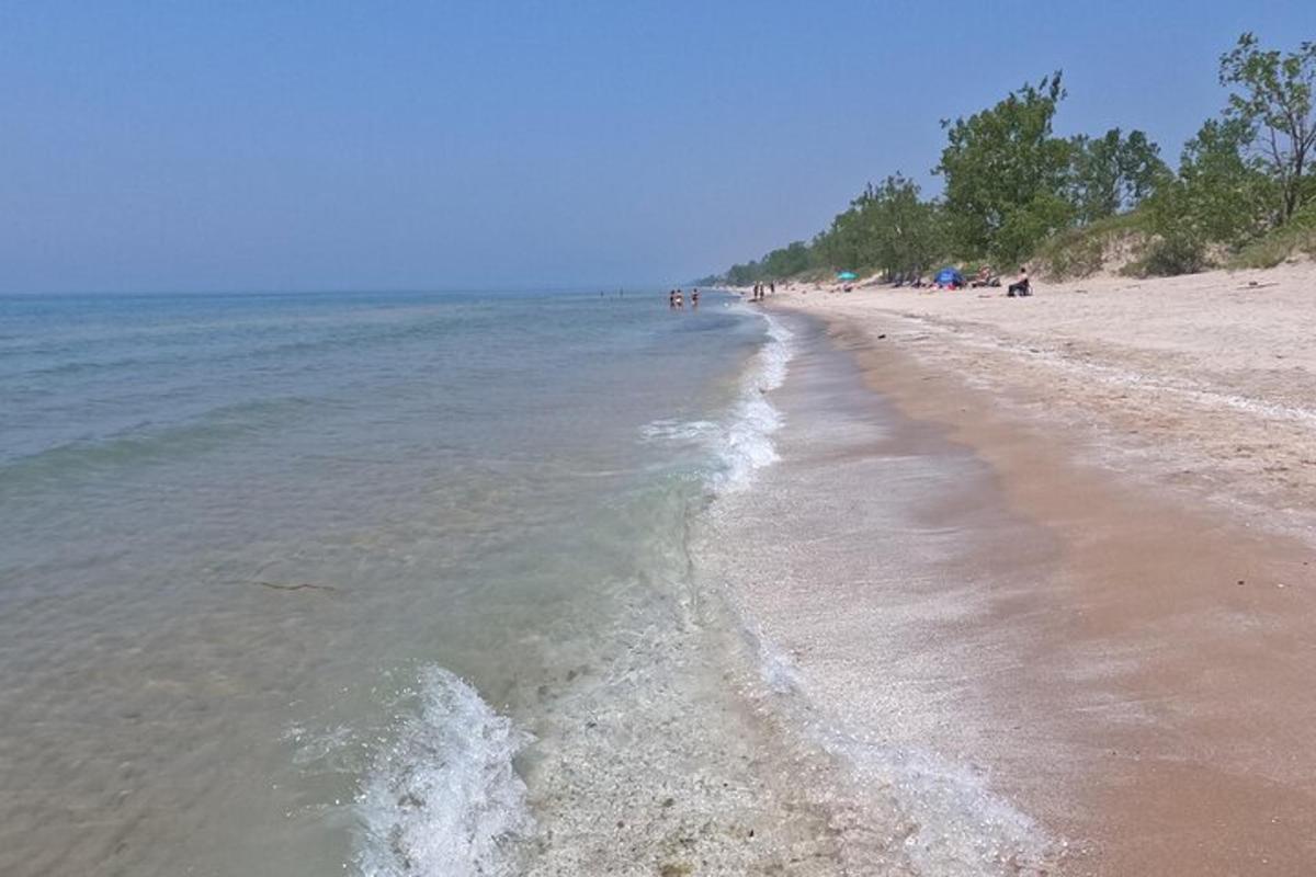 a sandy beach with people in the water