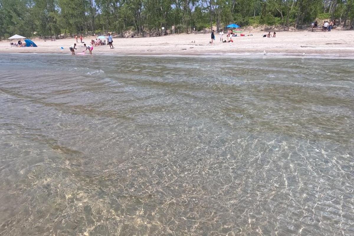 a group of people on a beach with the water