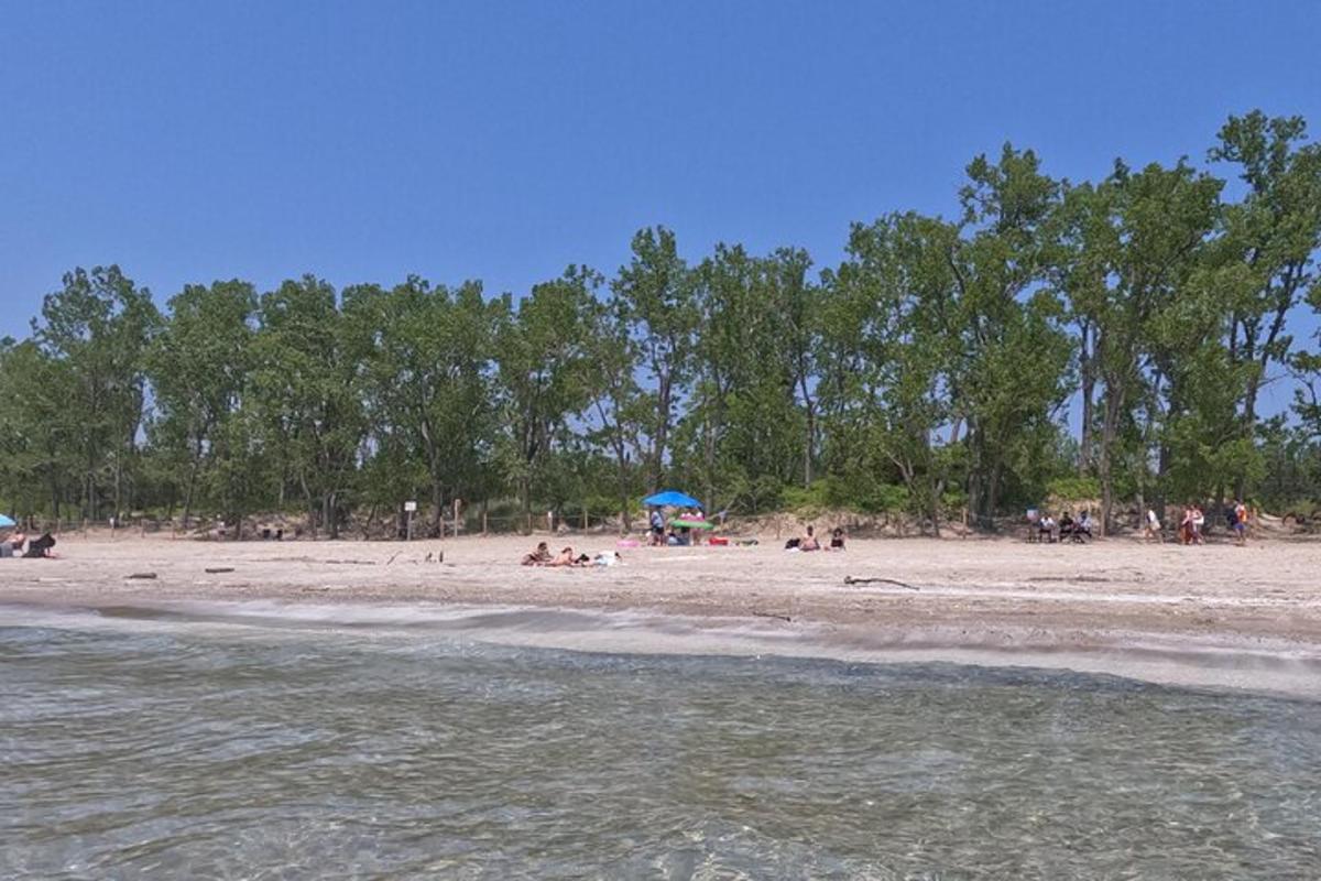 a group of people on a beach near the water