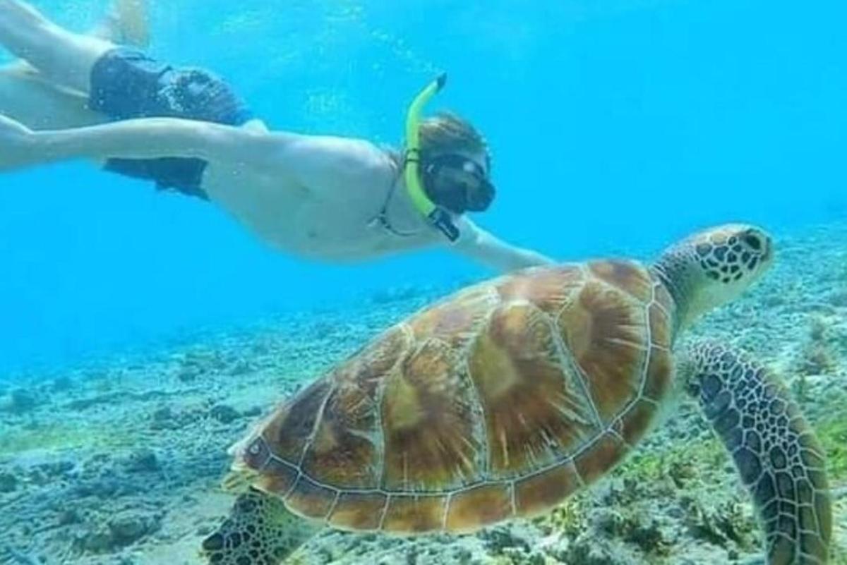 una persona che nuota nell'oceano con una tartaruga